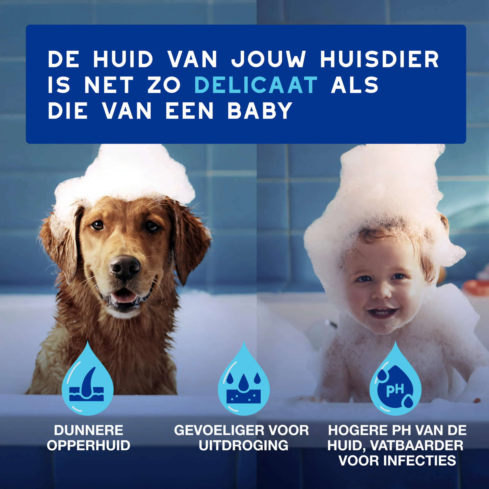 Douxo Spa Oorreiniger