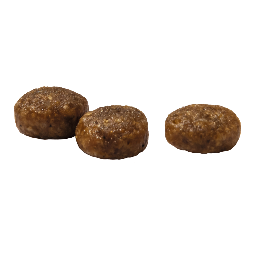 Prins VitalCare Cat Kitten