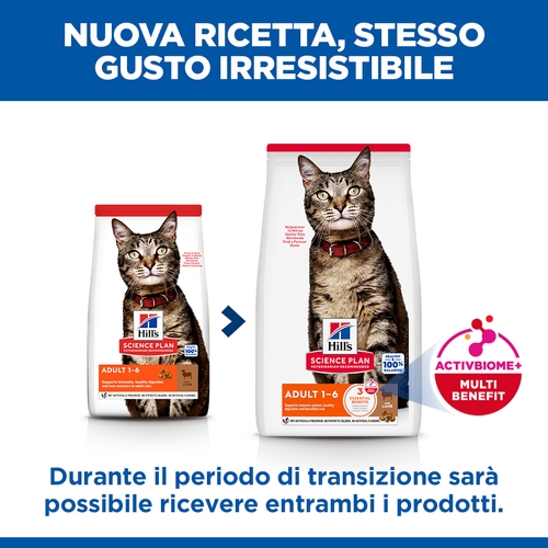 Hill's Science Plan Adult - Agnello