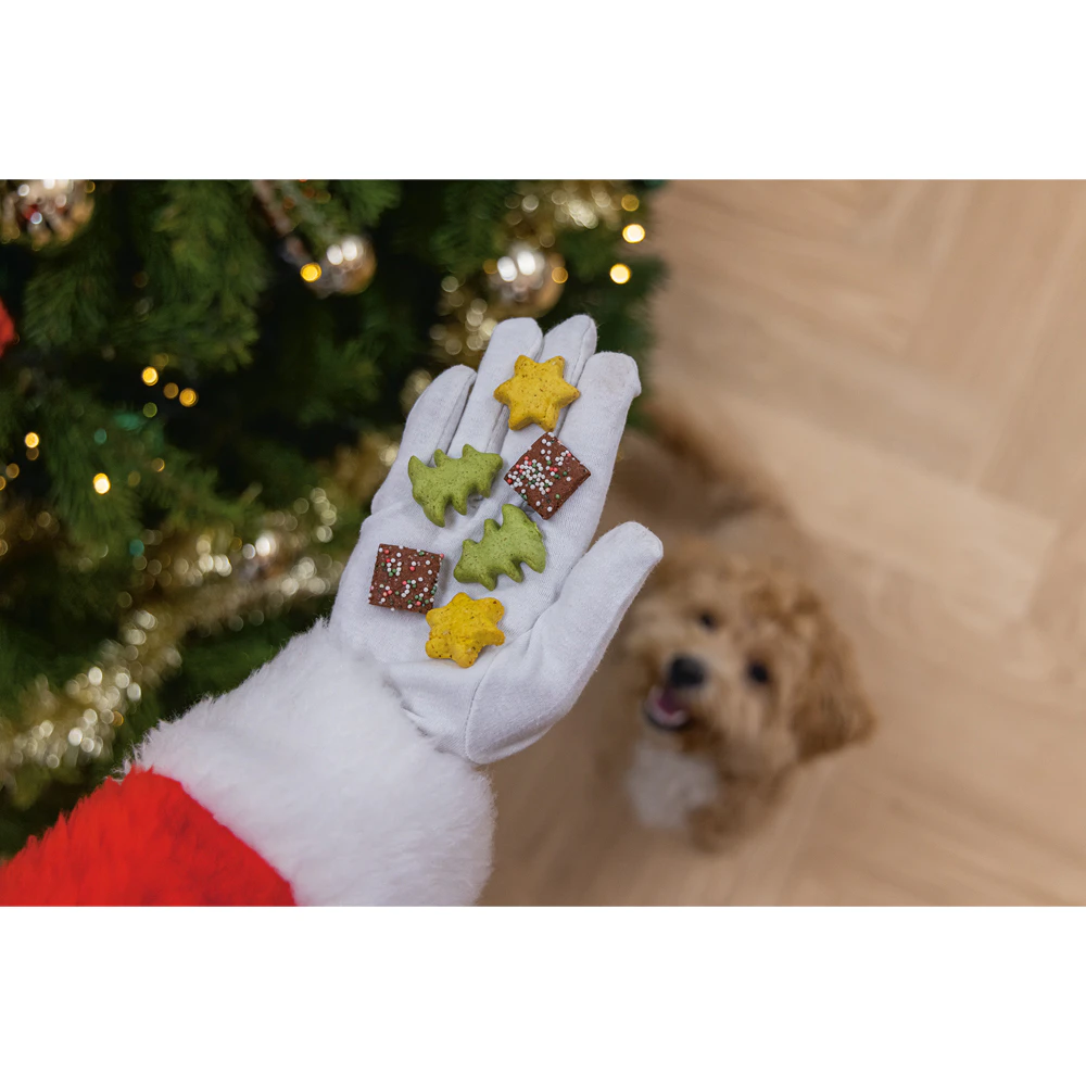 Beeztees Kerstkoekjes Mix
