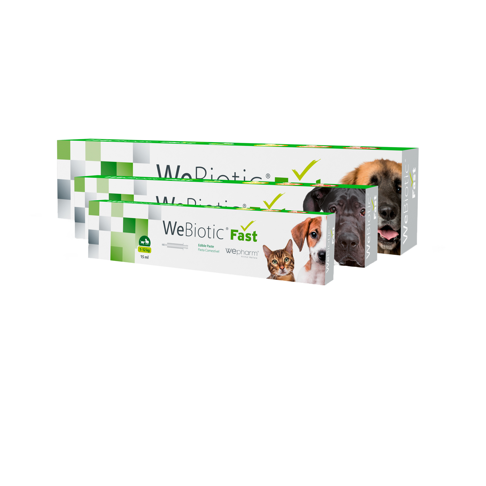 Wepharm WeBiotic Fast – Paste – 15 ml