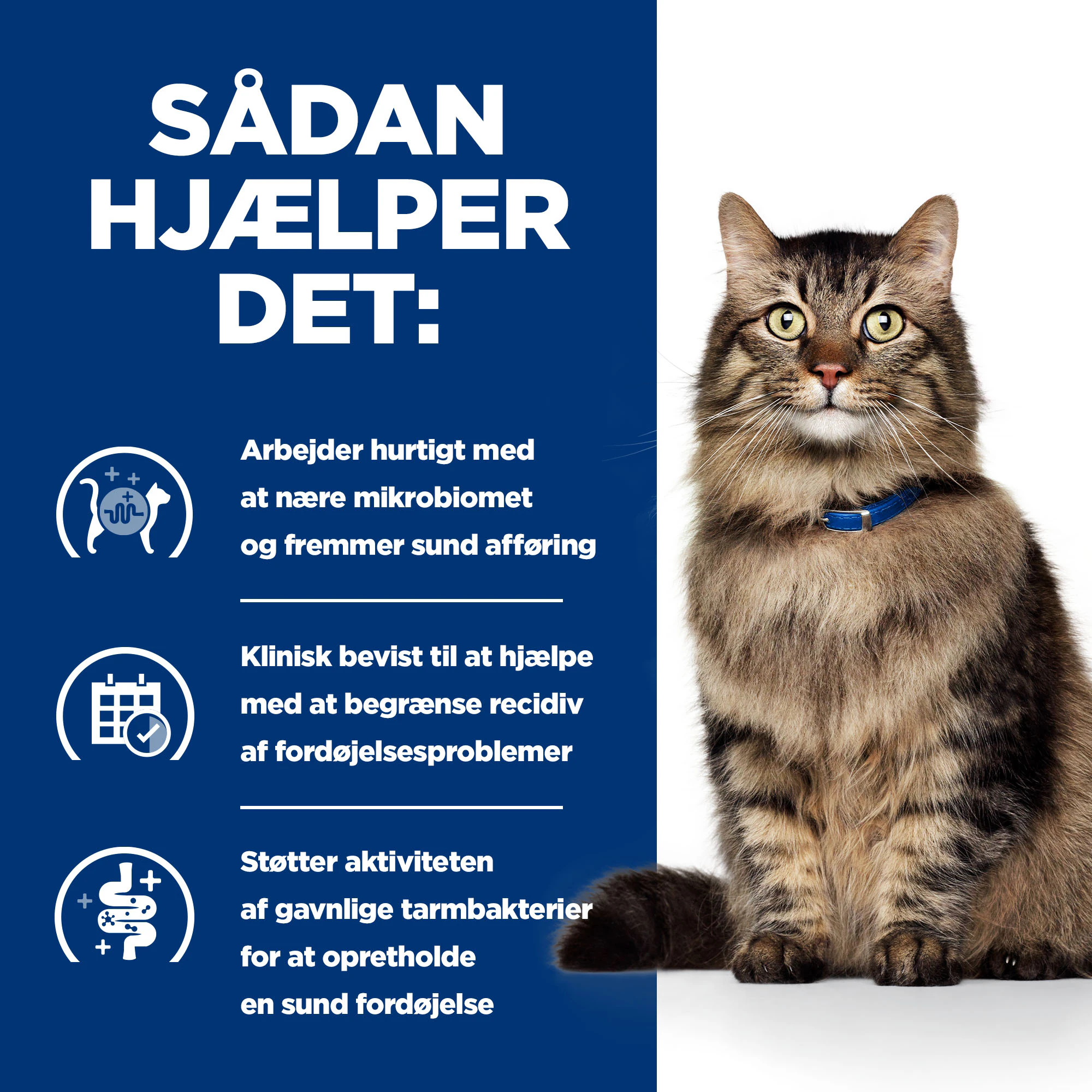 Hill's Prescription Diet - Gastrointestinal Biome - Kat - Vådfoder