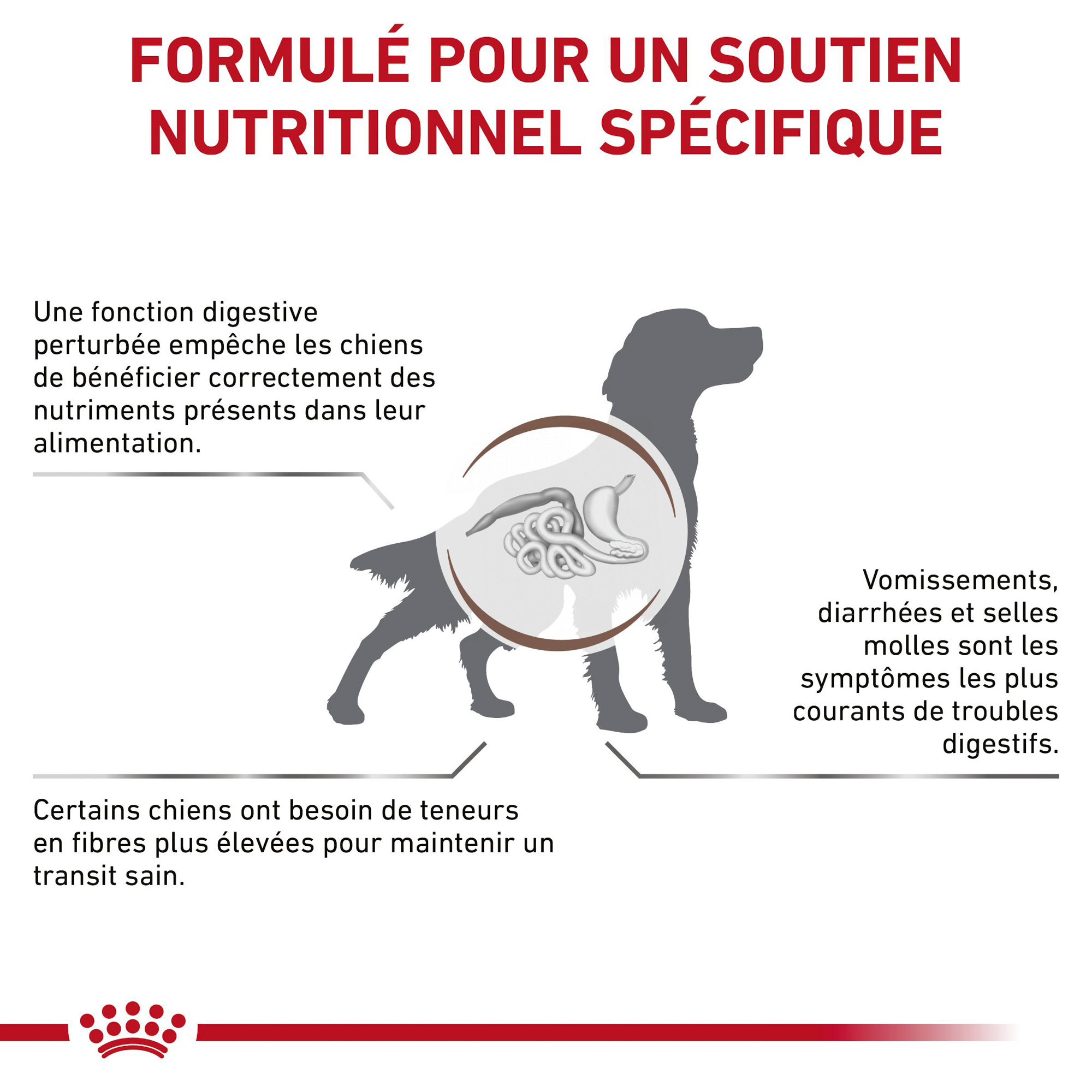 Royal Canin Gastrointestinal High Fibre Chien