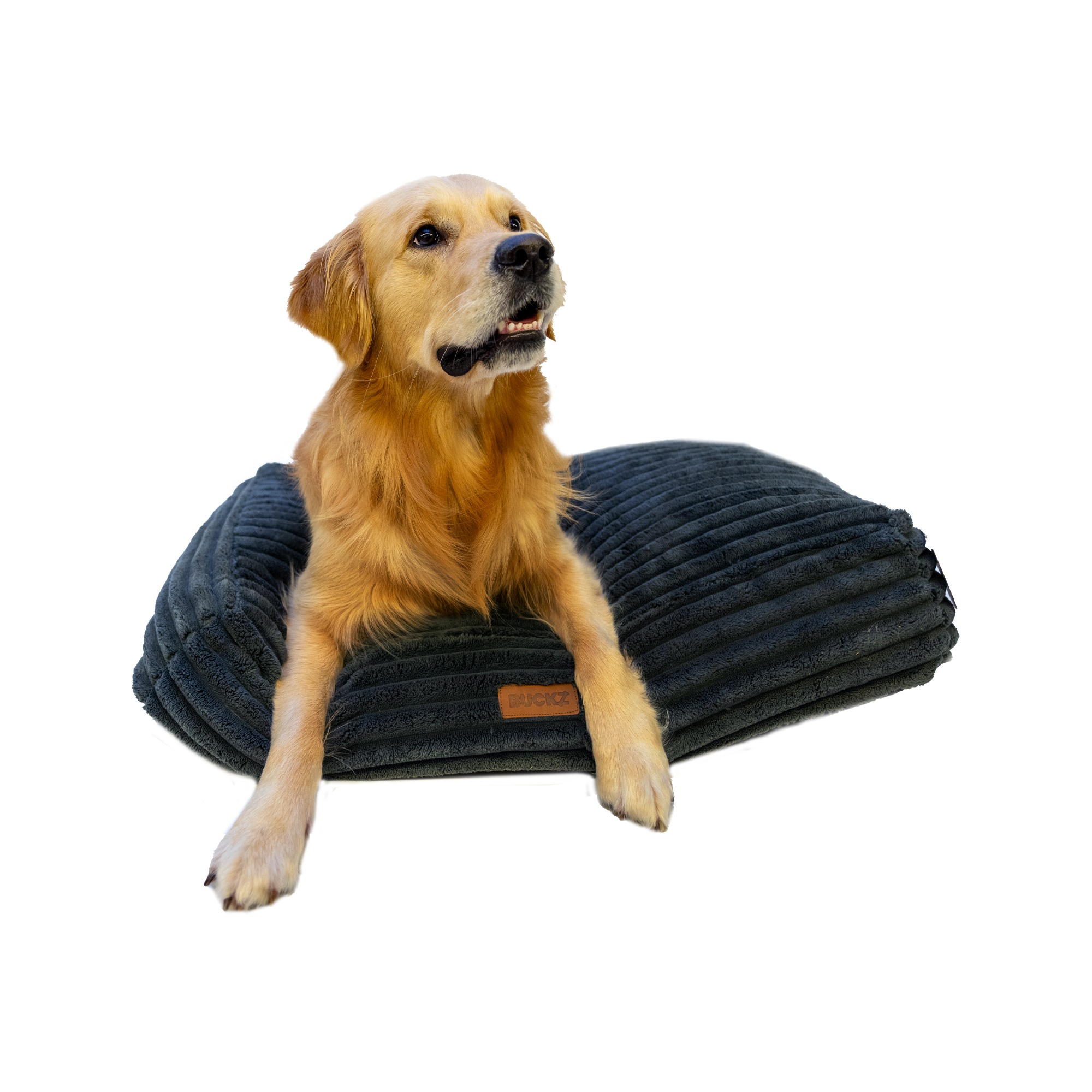 Buckz Corduroy Dog Bed Leo