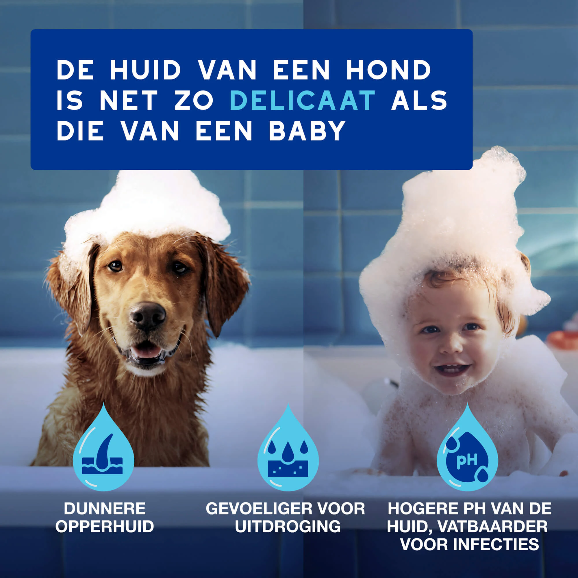 Douxo Spa Dog Mousse