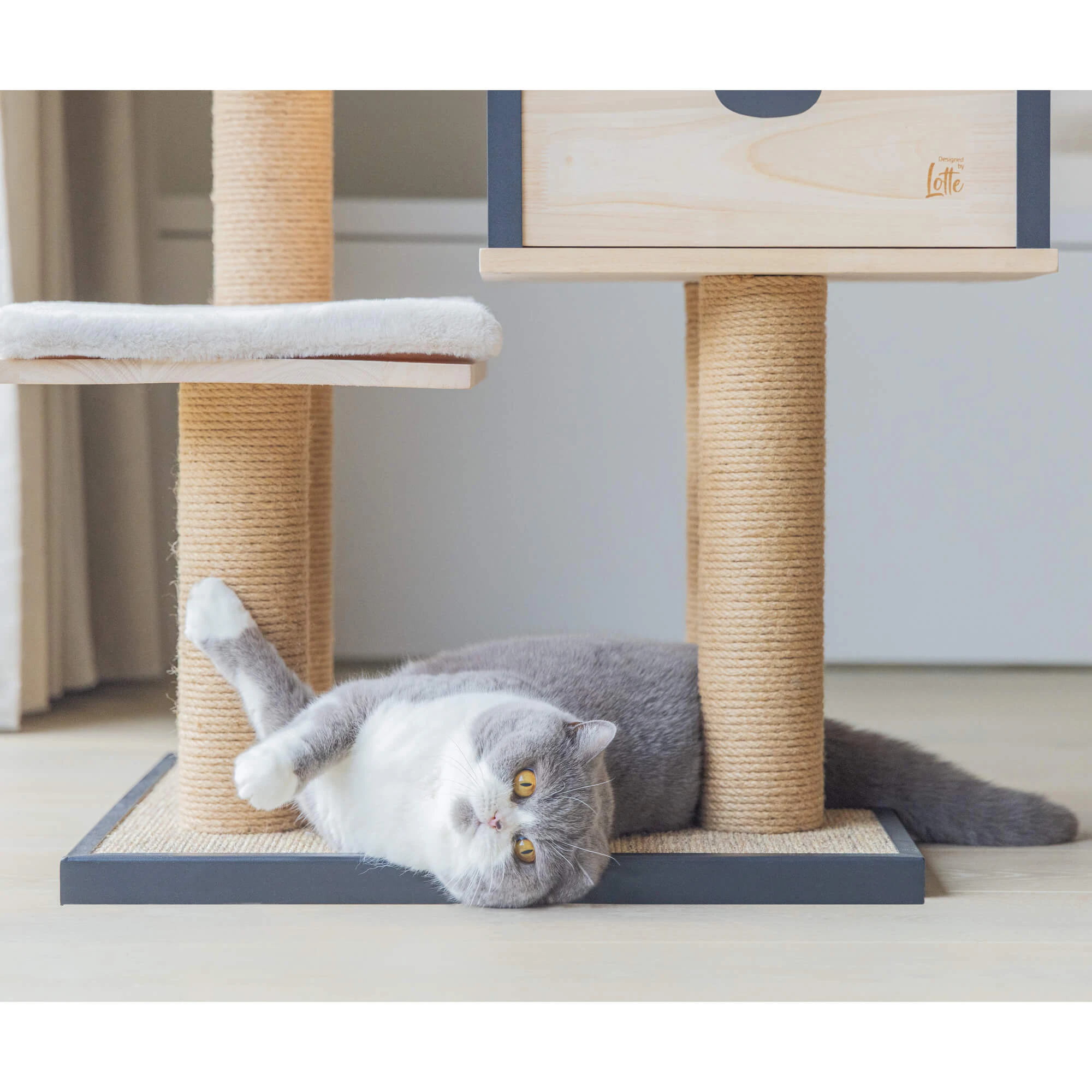Designed by Lotte Scratching Furniture Nela