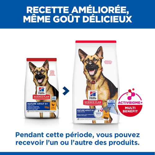 Hill's Science Plan Mature/Adult Large Breed