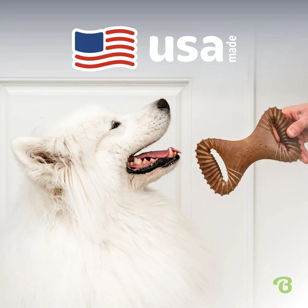 Benebone Dental Chew