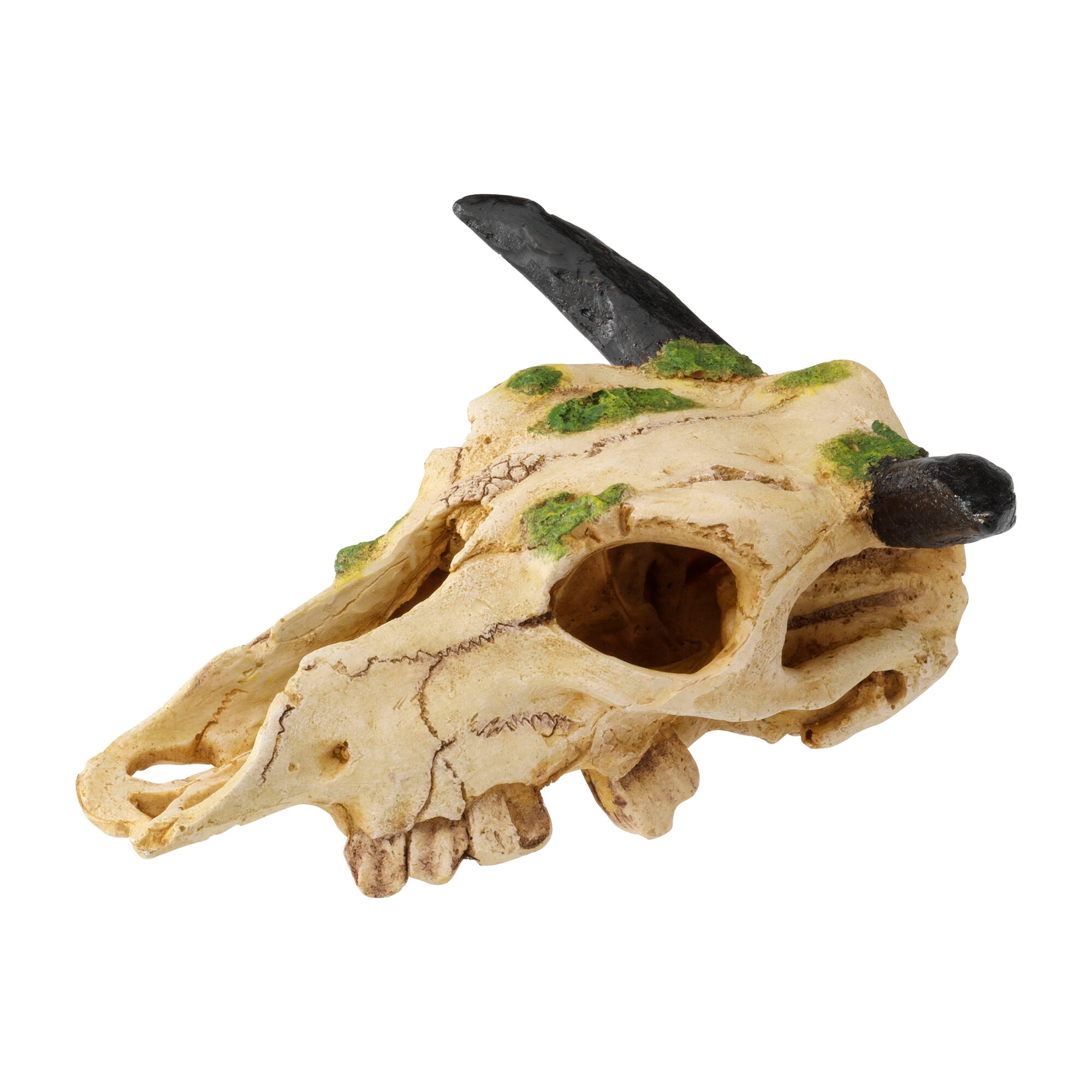 Terra Della Caraboa Kranie