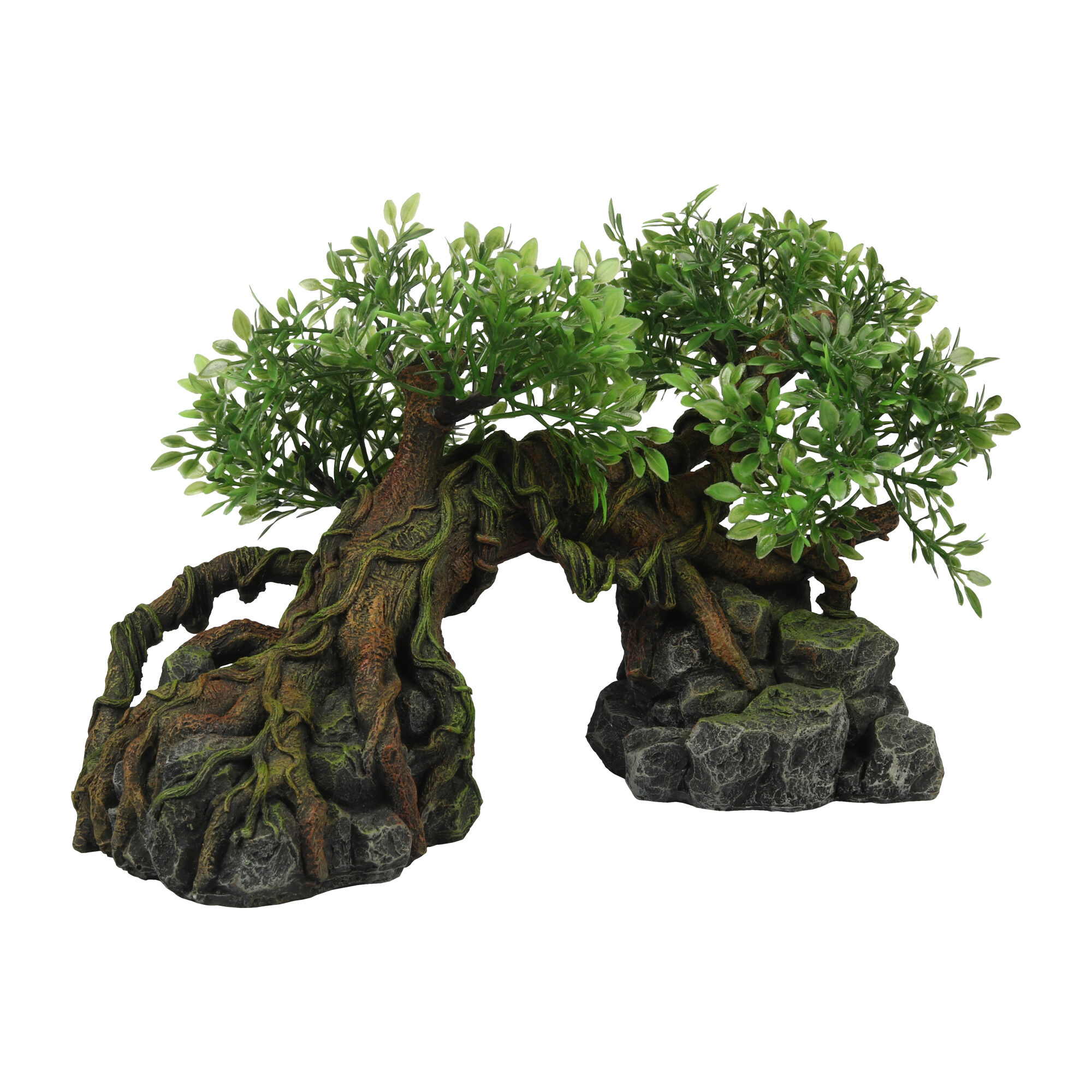 Terra Della Jungletræ