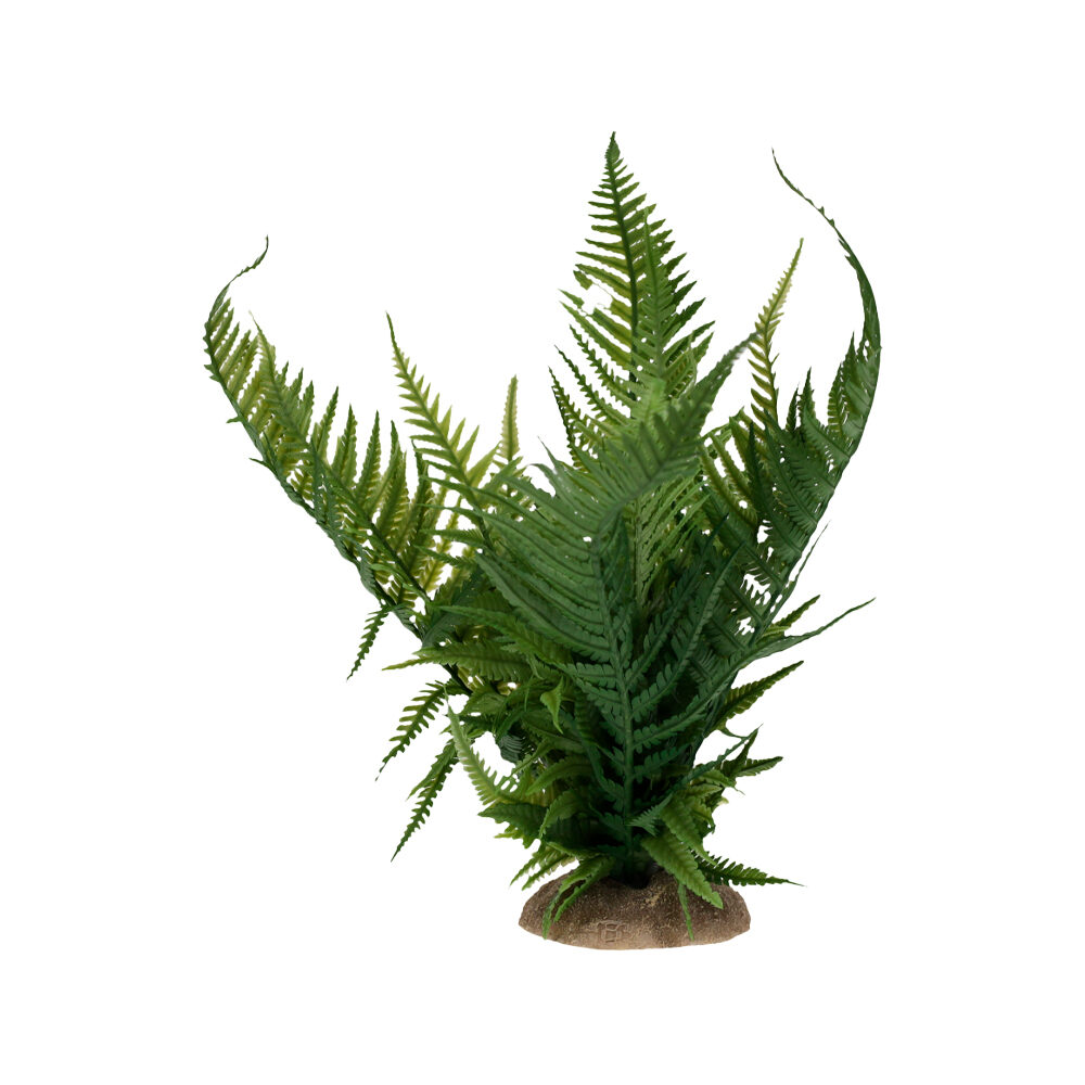 Terra Della Farn | Terrarium | Jetzt bestellen | Medpets.de