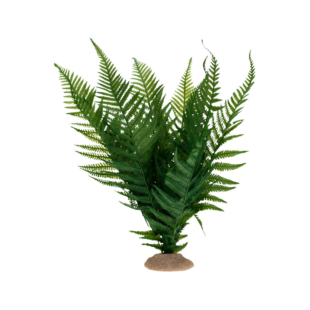 Terra Della Fern - L