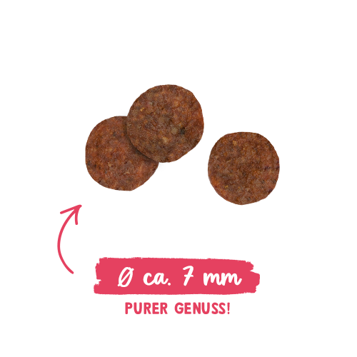 Sanabelle Adult - Poultry