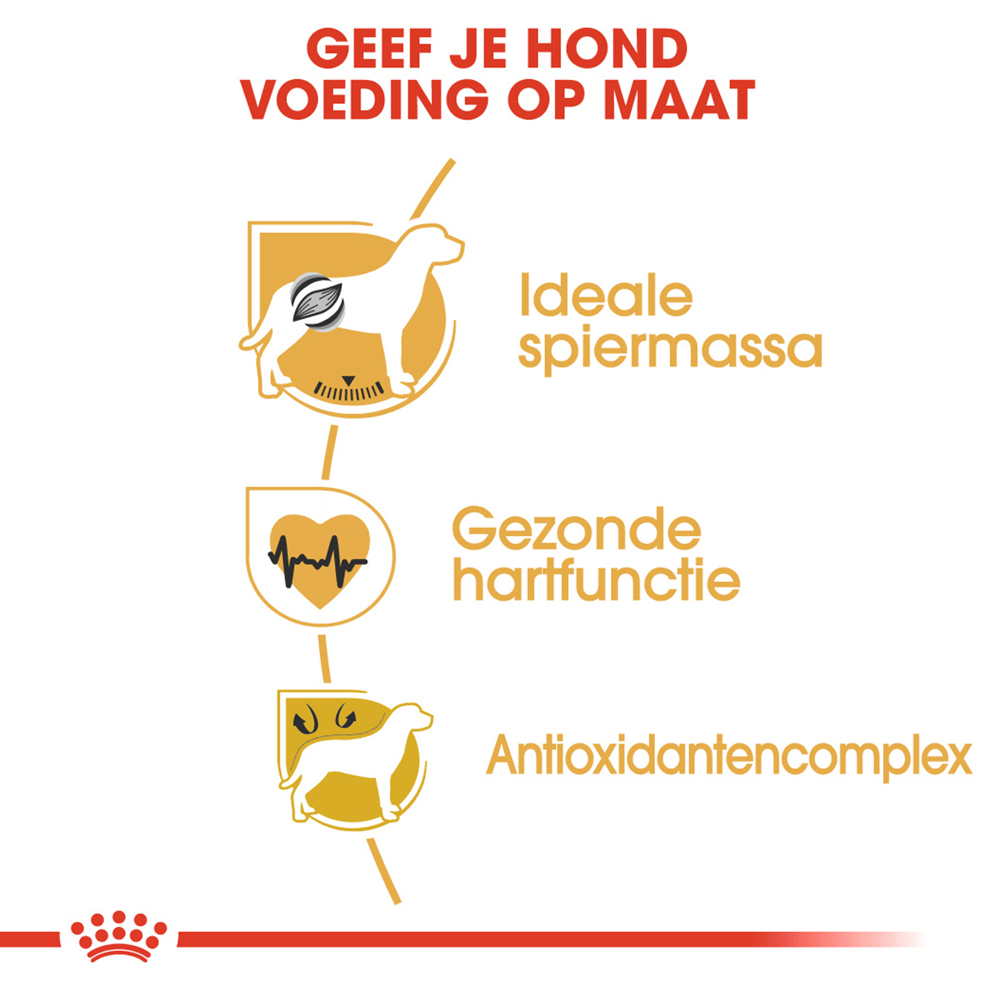 Royal Canin Boxer Adult - Hondenvoer