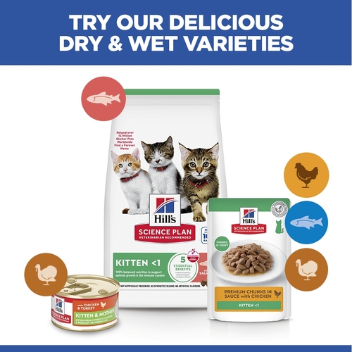 Hill's Science Plan - Kitten - Salmon