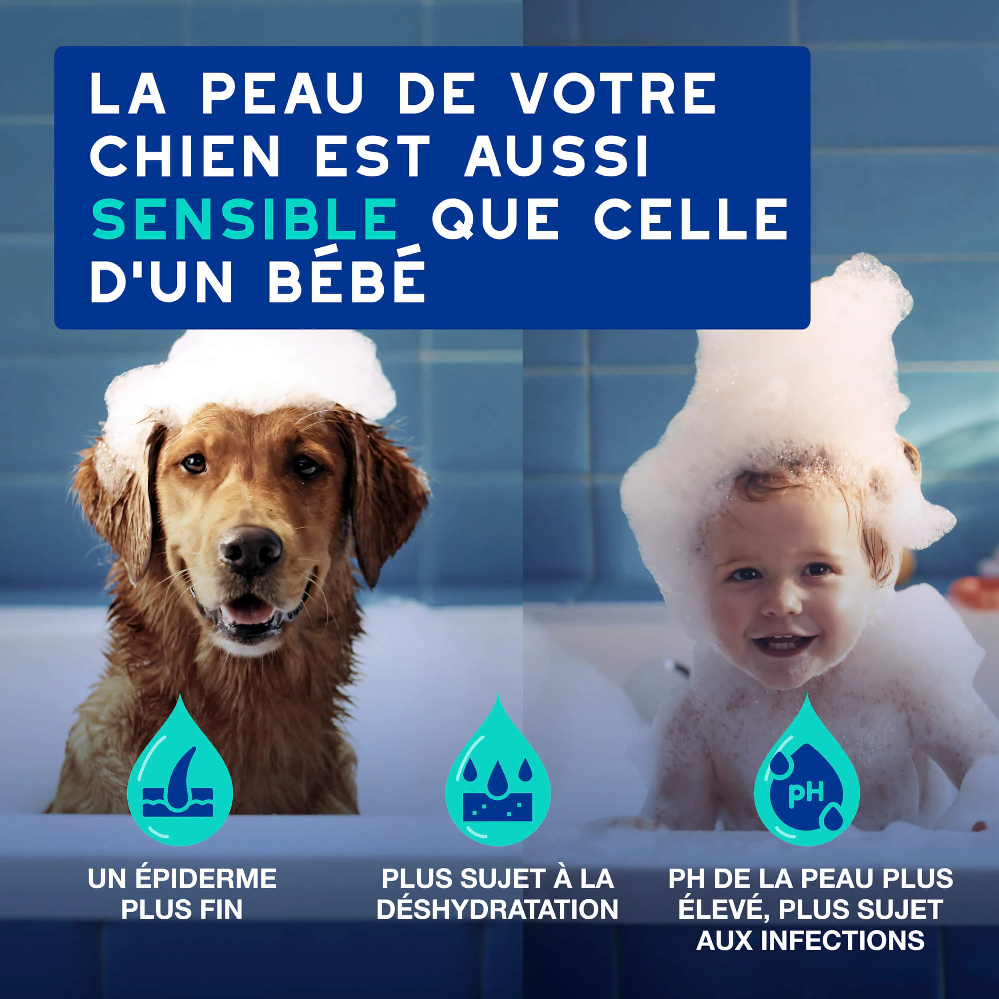 Douxo Spa Shampooing Anti-Odeur pour Chien
