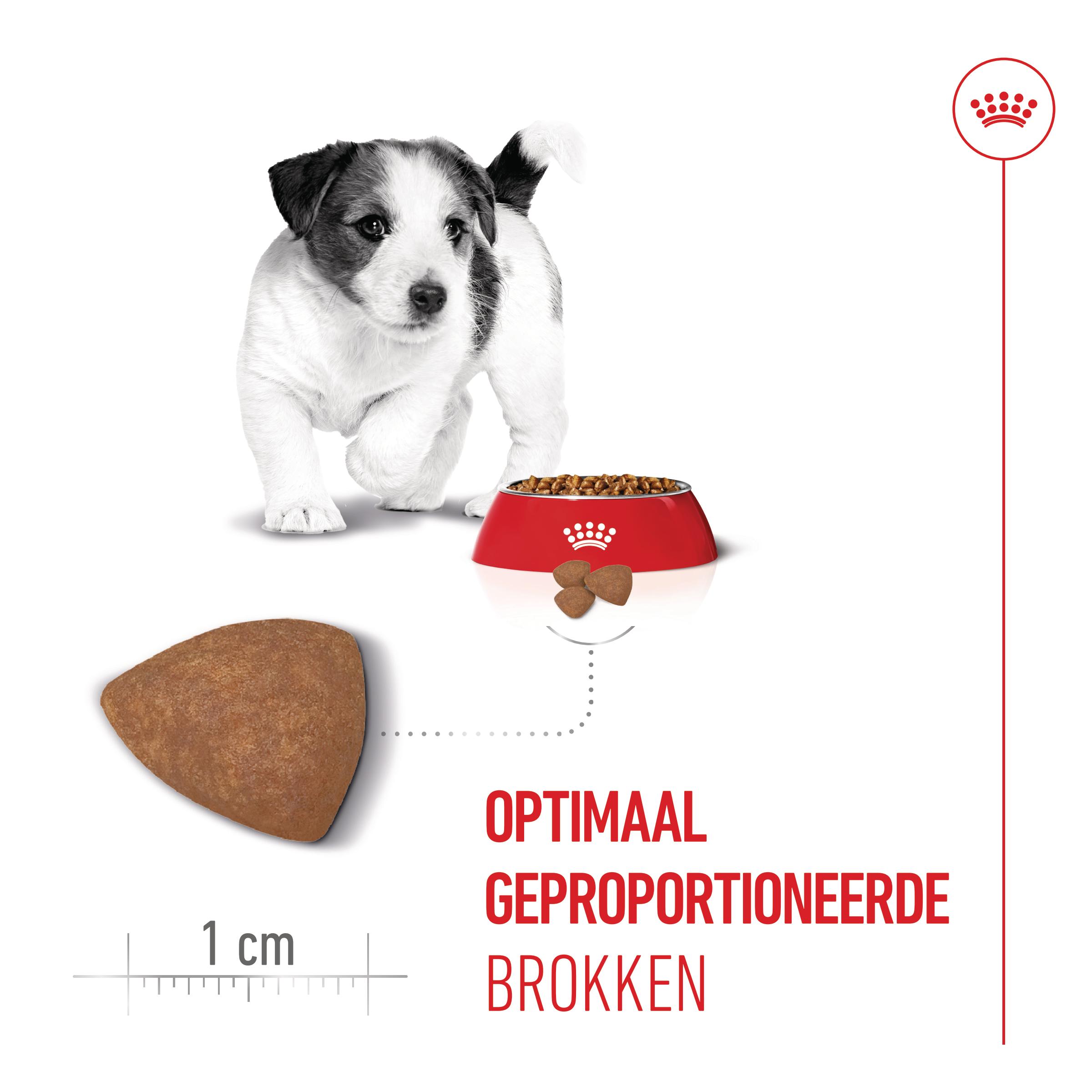 Royal Canin Mini Puppy - Hondenvoer