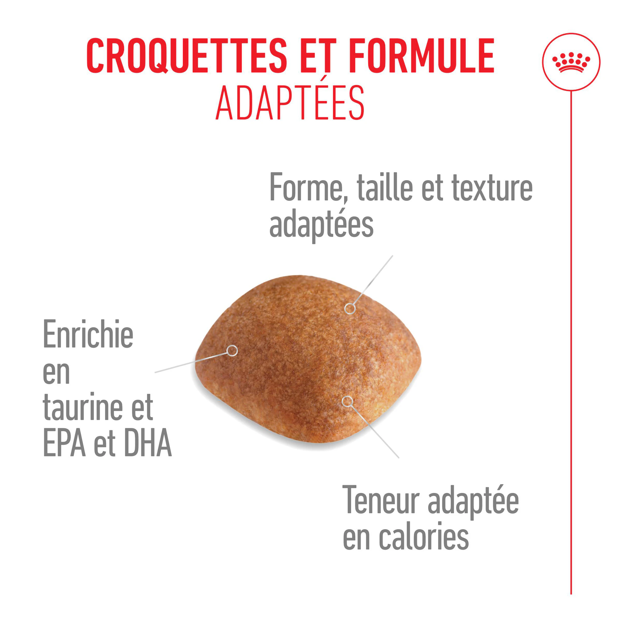 Royal Canin Golden Retriever Adult