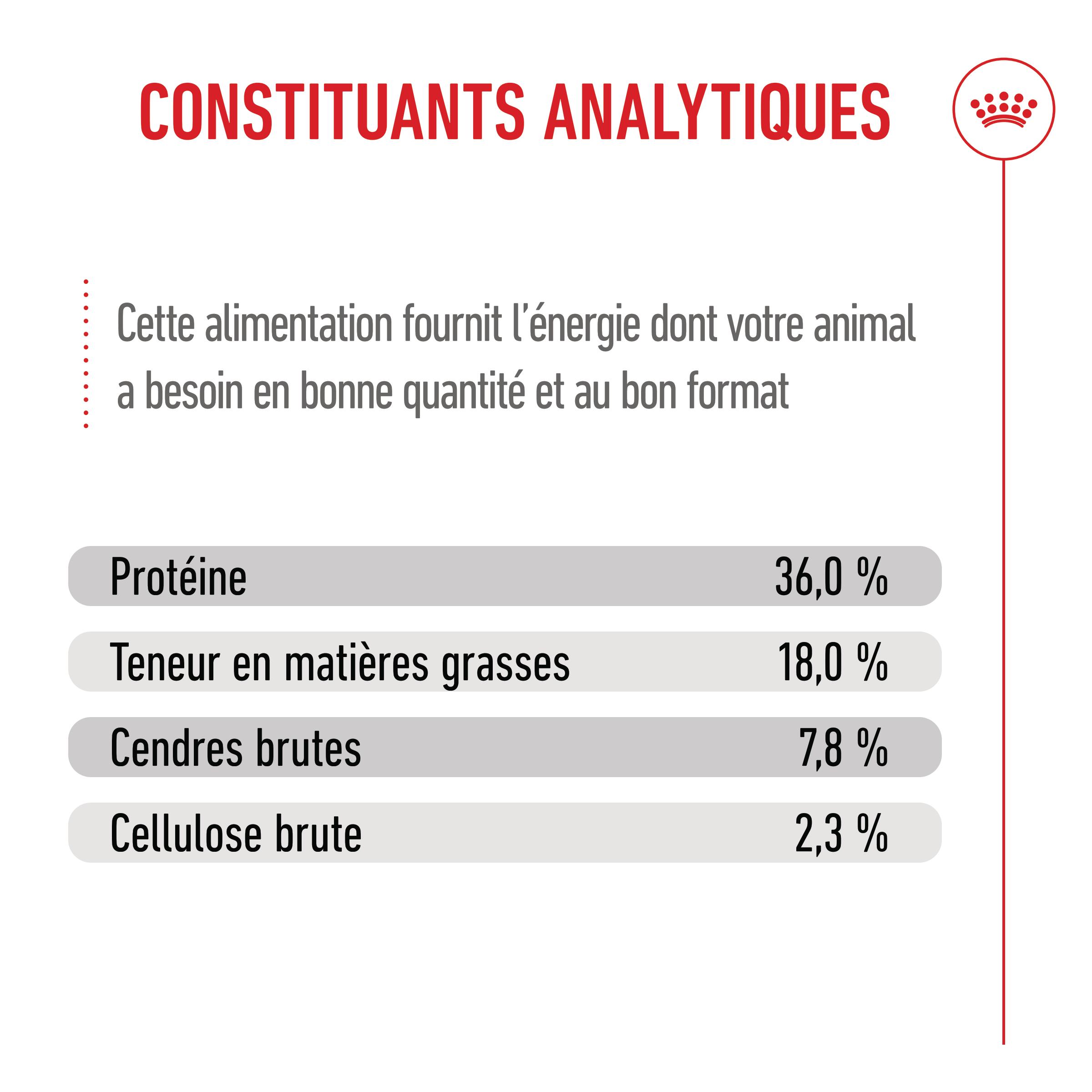 Royal Canin Kitten