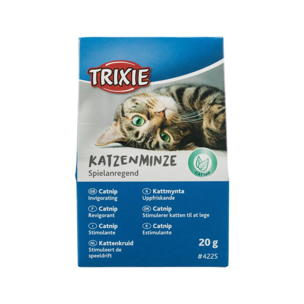 Trixie Katteurt