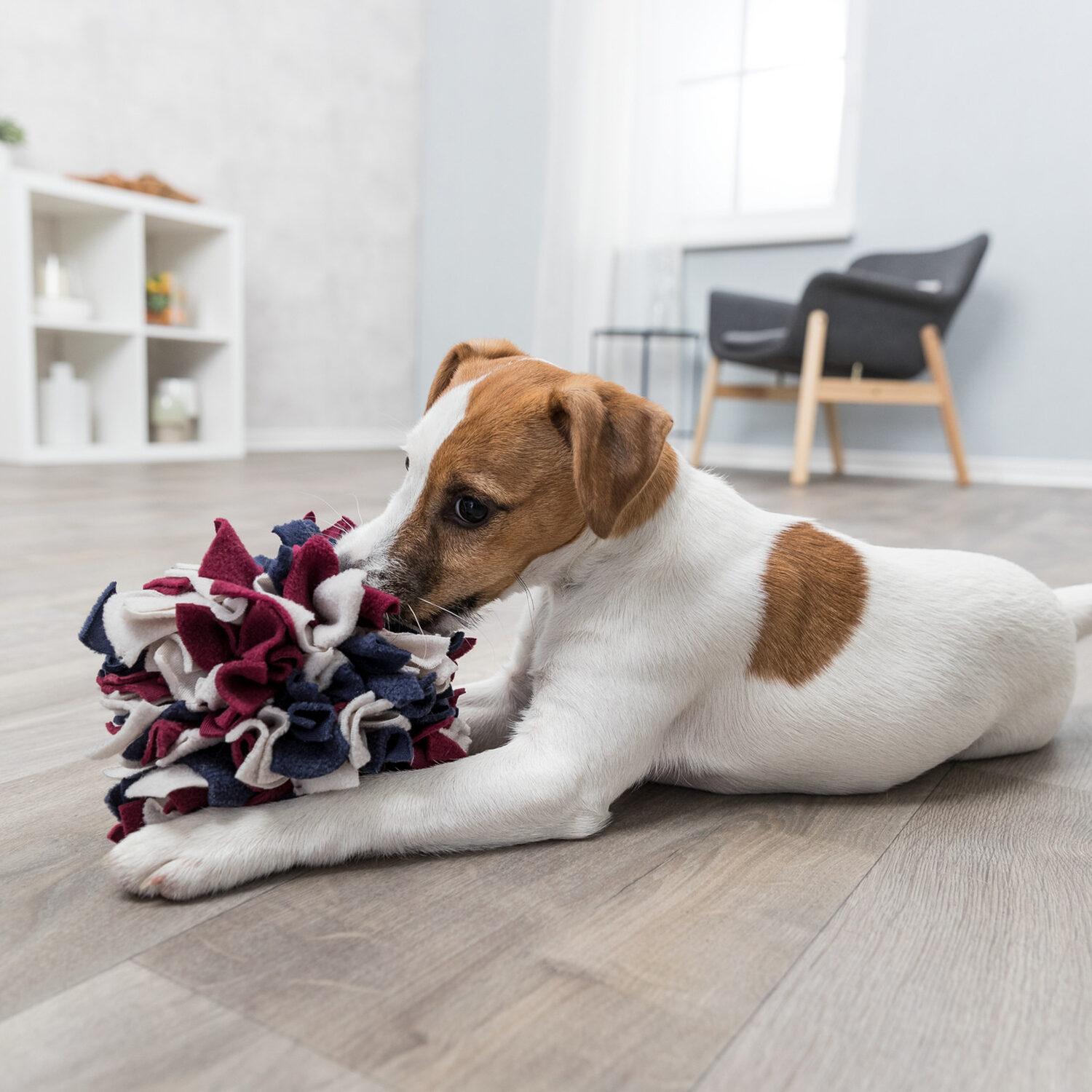 Trixie Dog Activity Snuffle Ball