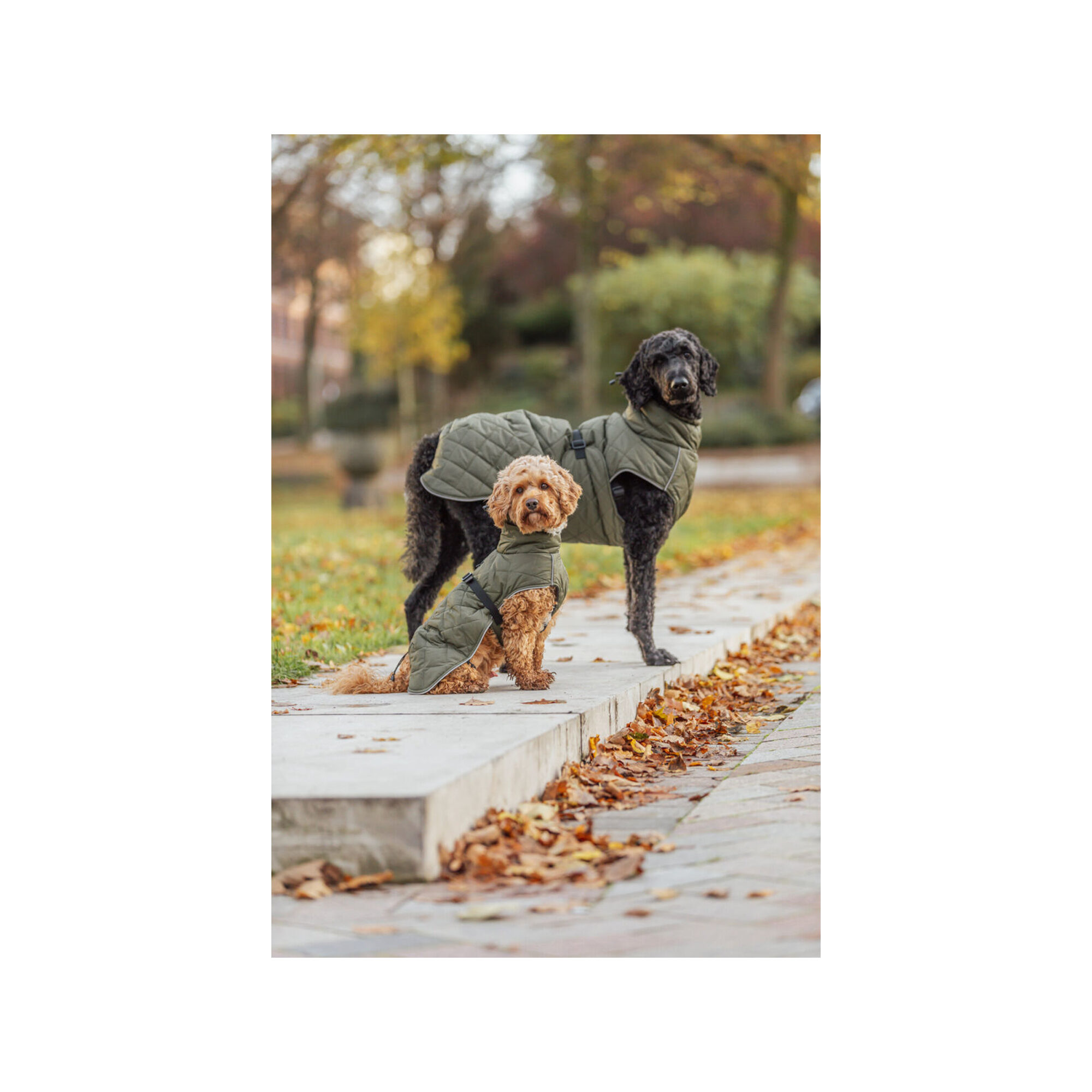 Trixie Hundemantel Minot