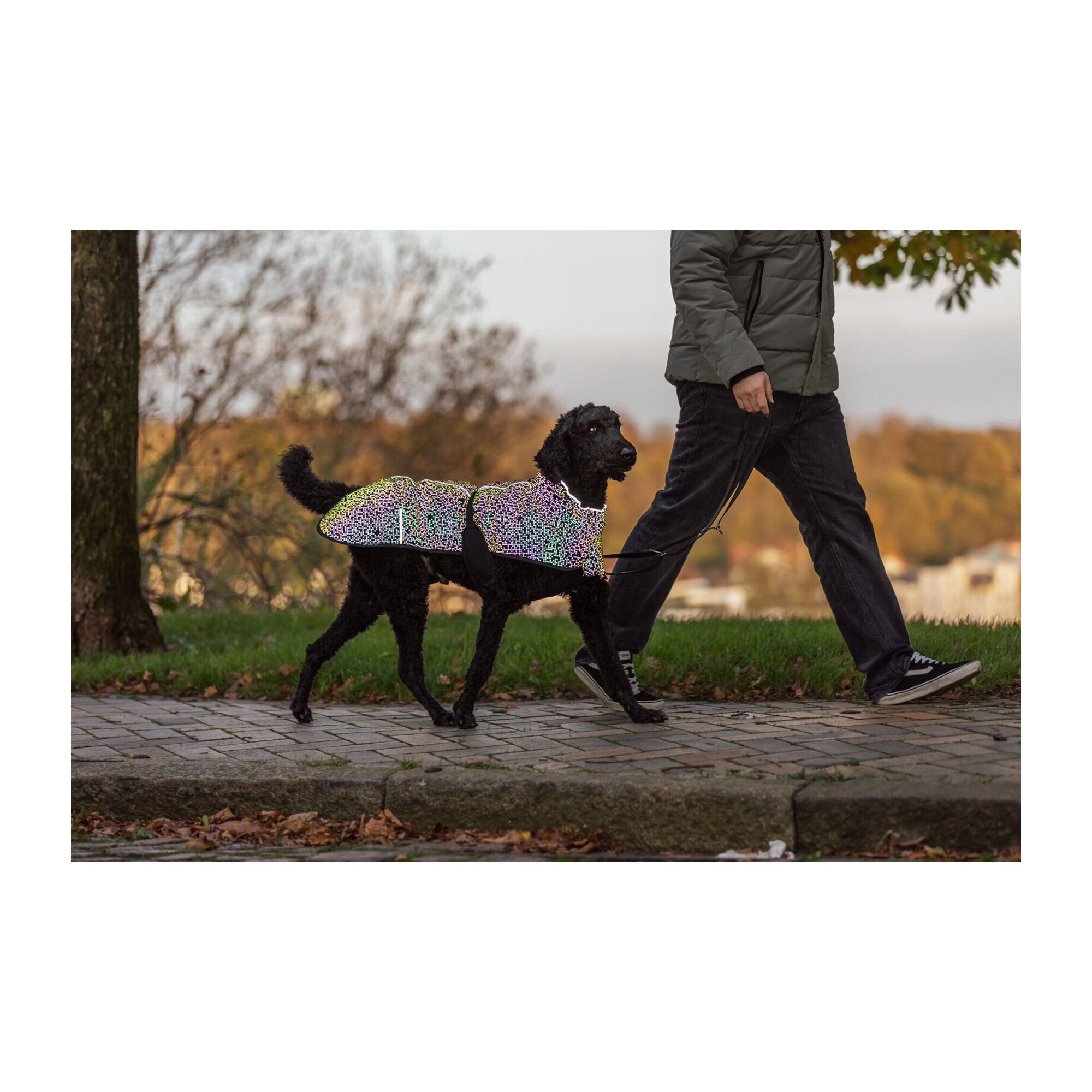 Trixie Jacke Limoux Reflect