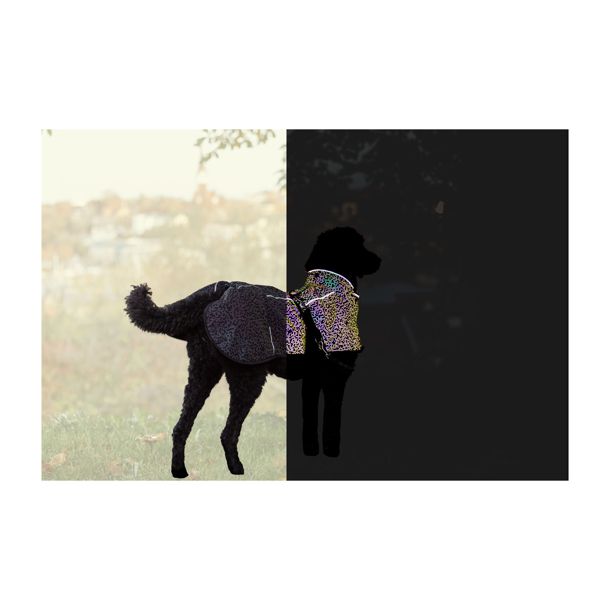 Trixie Jacke Limoux Reflect