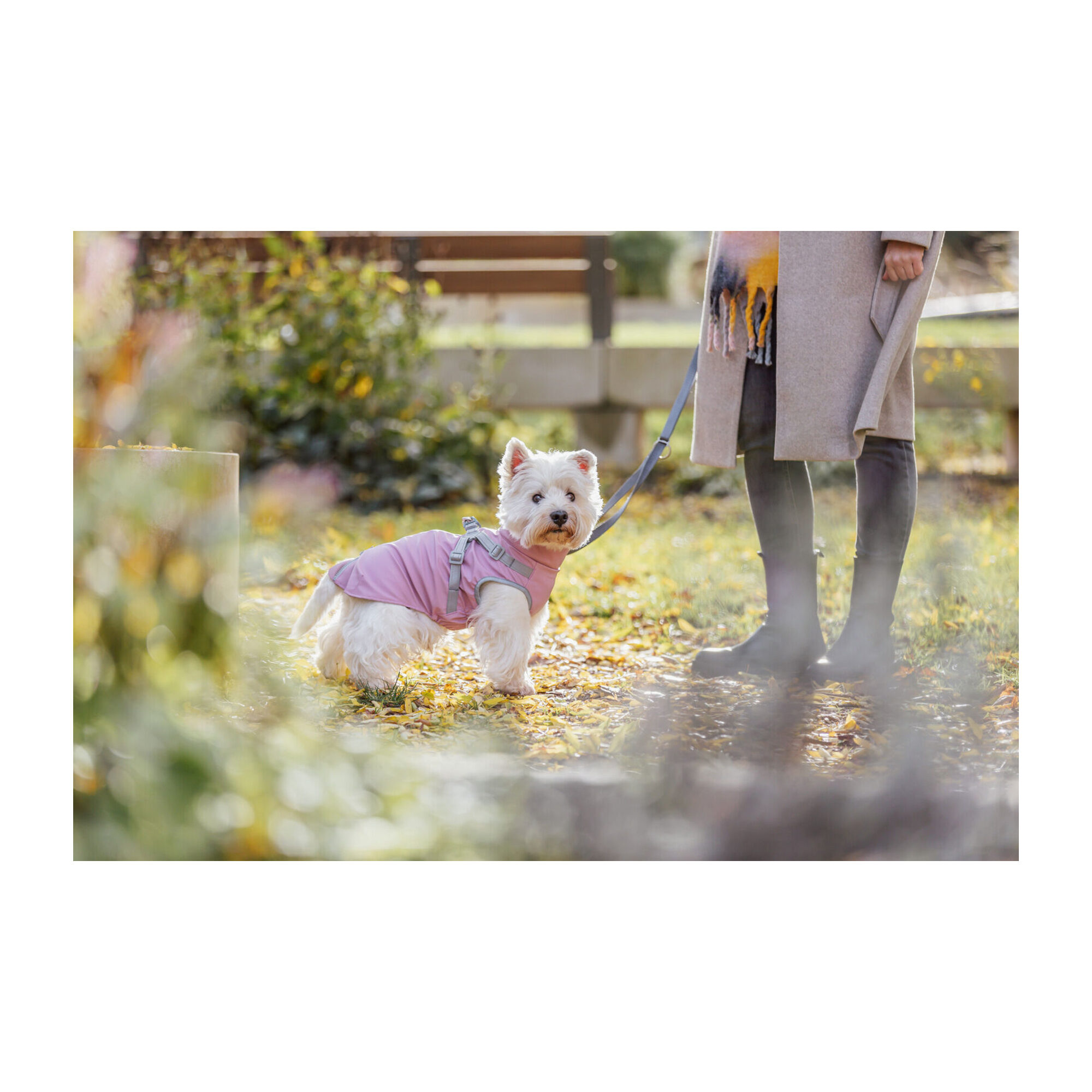 Trixie Mantel mit Geschirr Pontis Rain