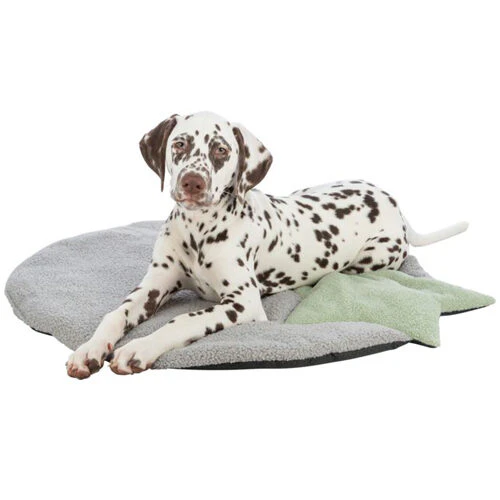 Trixie Junior Liegematte Mit Stern I Hund I Bestellen Medpets de Trixie Junior Liegematte Mit Stern I Hund I Bestellen Medpets de