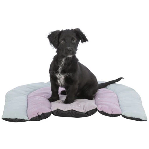 Trixie Junior Liegematte Patchwork I Hunde I Bestellen Medpets de Trixie Junior Liegematte Patchwork I Hunde I Bestellen Medpets de