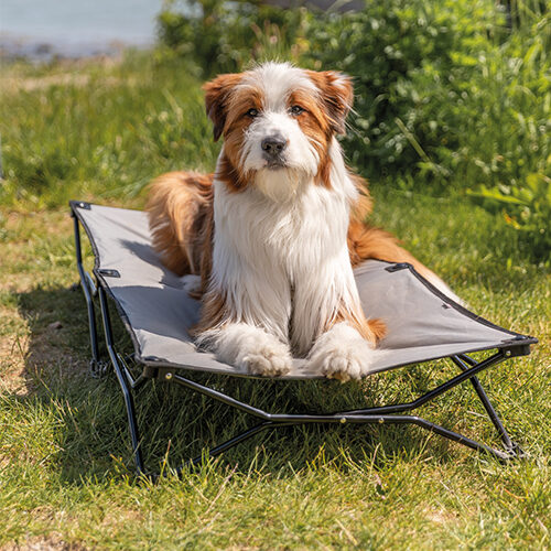 Trixie Campingkorb - Groß