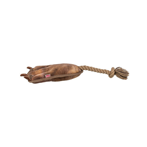 hundebett mit matratze Orthopädisches Hundebett XXL Online Kaufen – Kaiser Hund main image 0