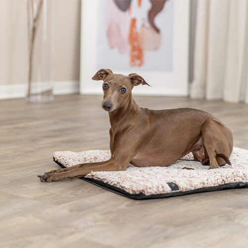Trixie Tapis de repos Calida