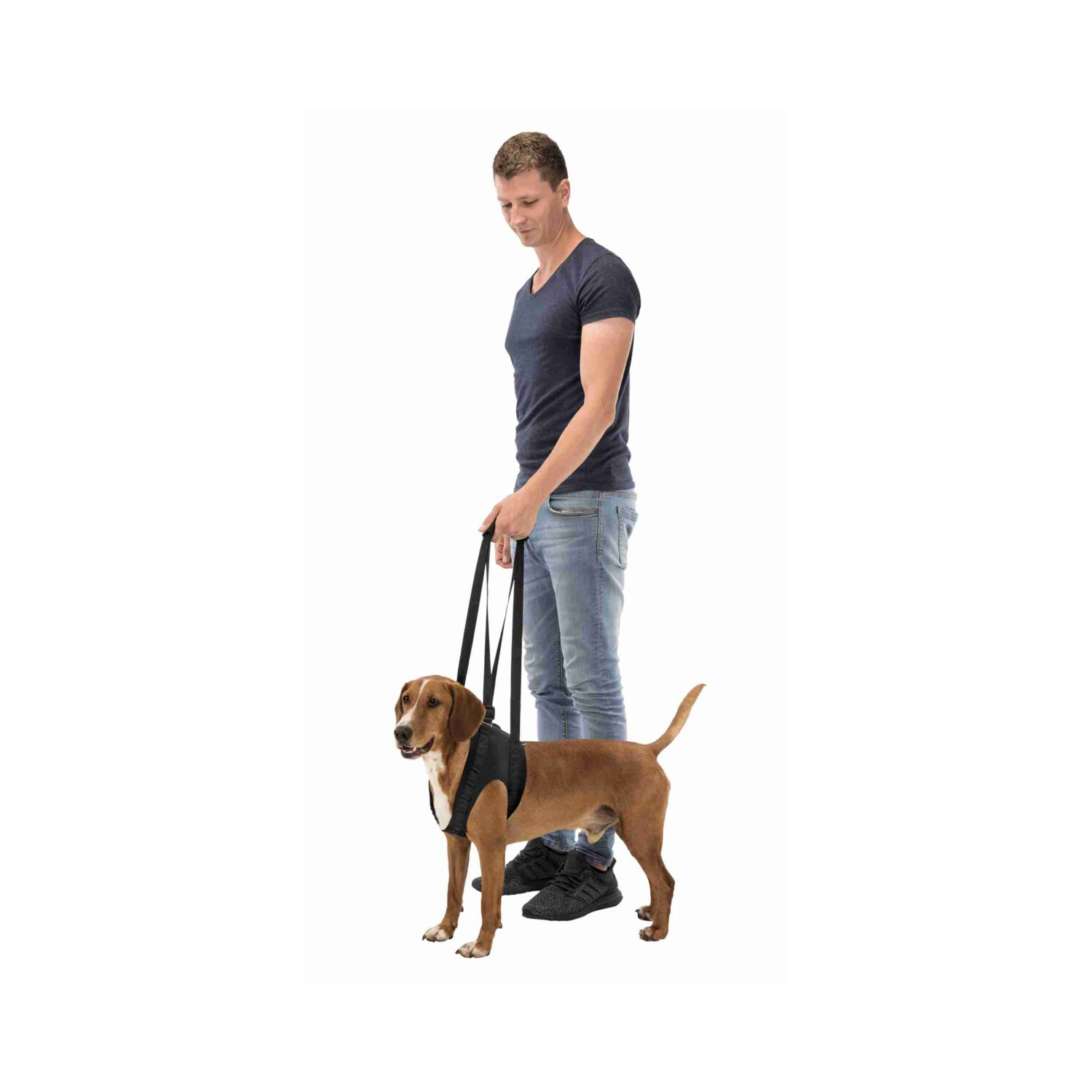 Trixie Mobility Aid