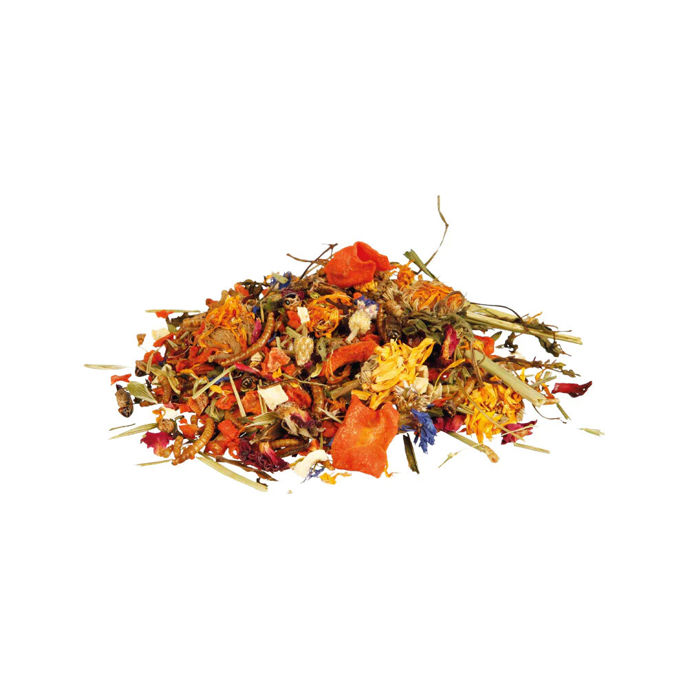 Trixie Mix di Cibo Naturale per Draghi Barbuti
