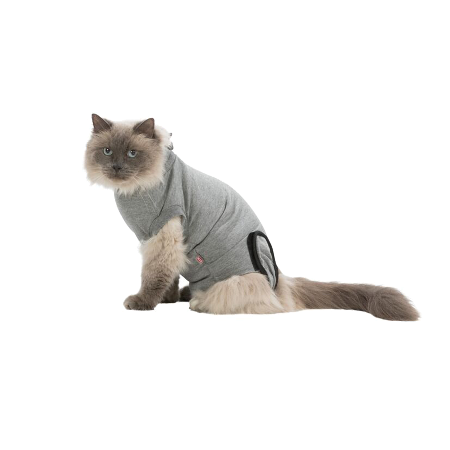 Trixie Operatie-Hesje Kat