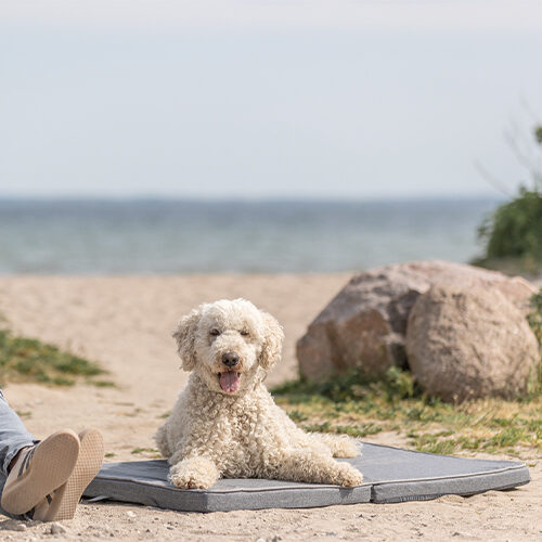 Trixie Samoa Vital Tapis pour Chiens