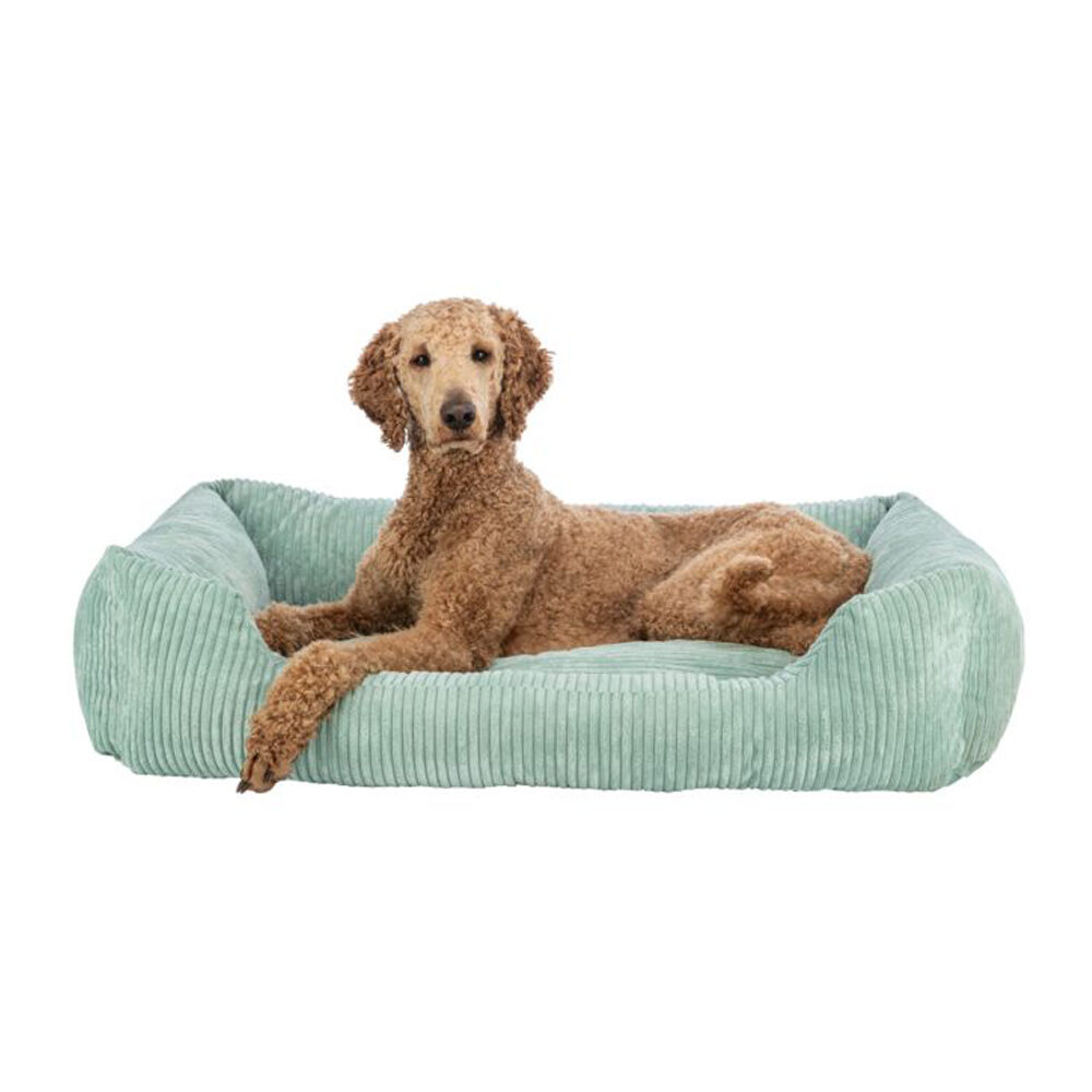 Trixie Orthopedisch Hondenbed Vital Noah 60x50cm