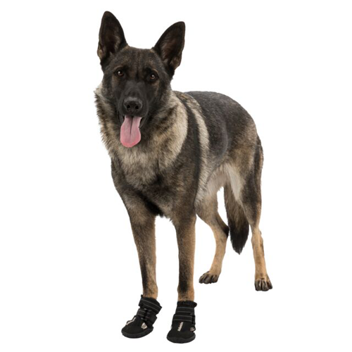 Trixie Walker Active Hundesko