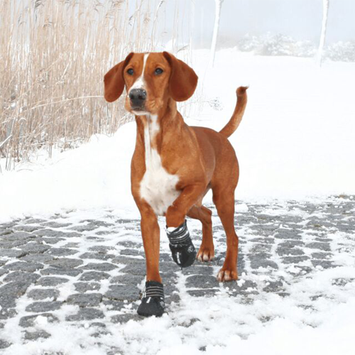 Trixie Walker Active Hundesko