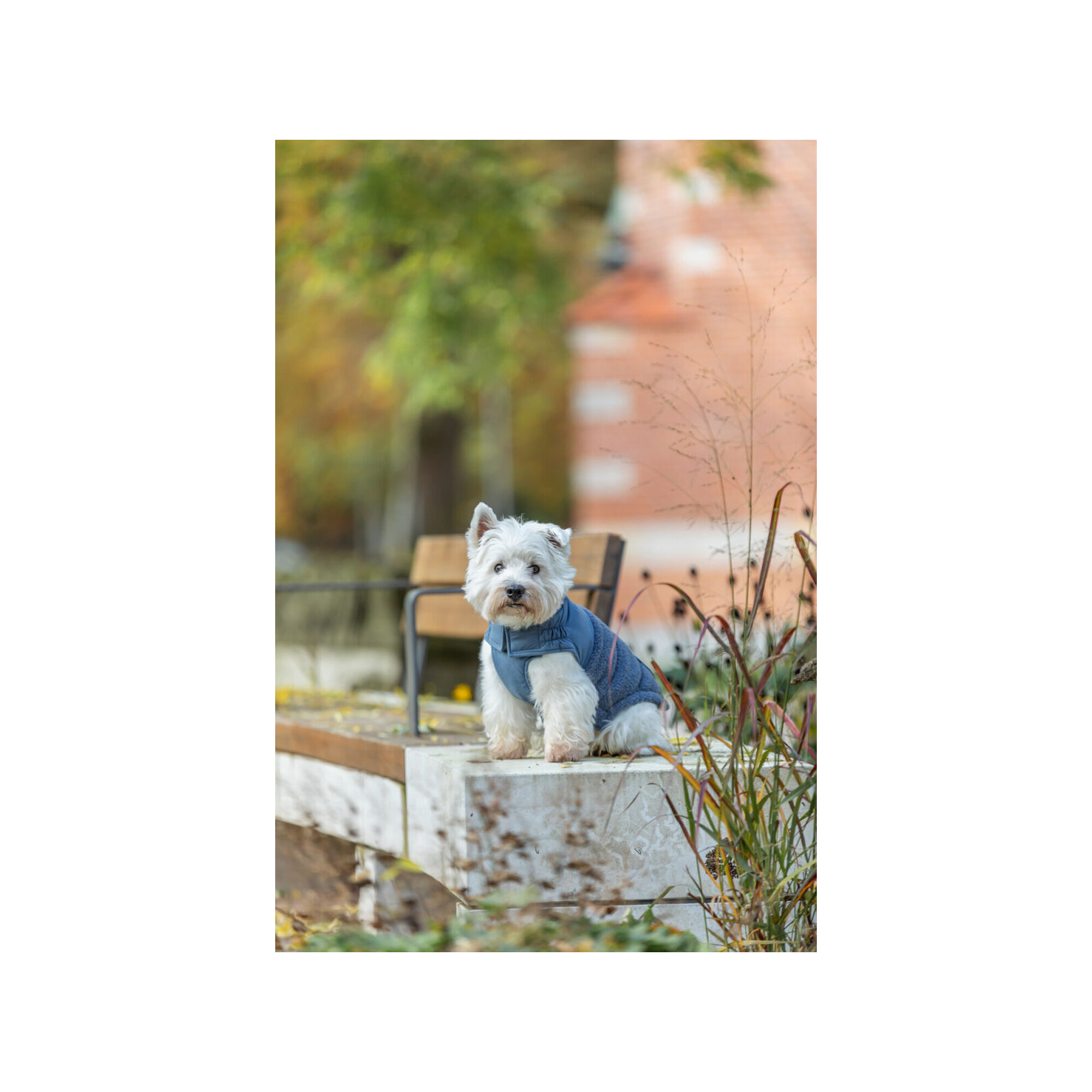 Trixie Winterjacke Ajou