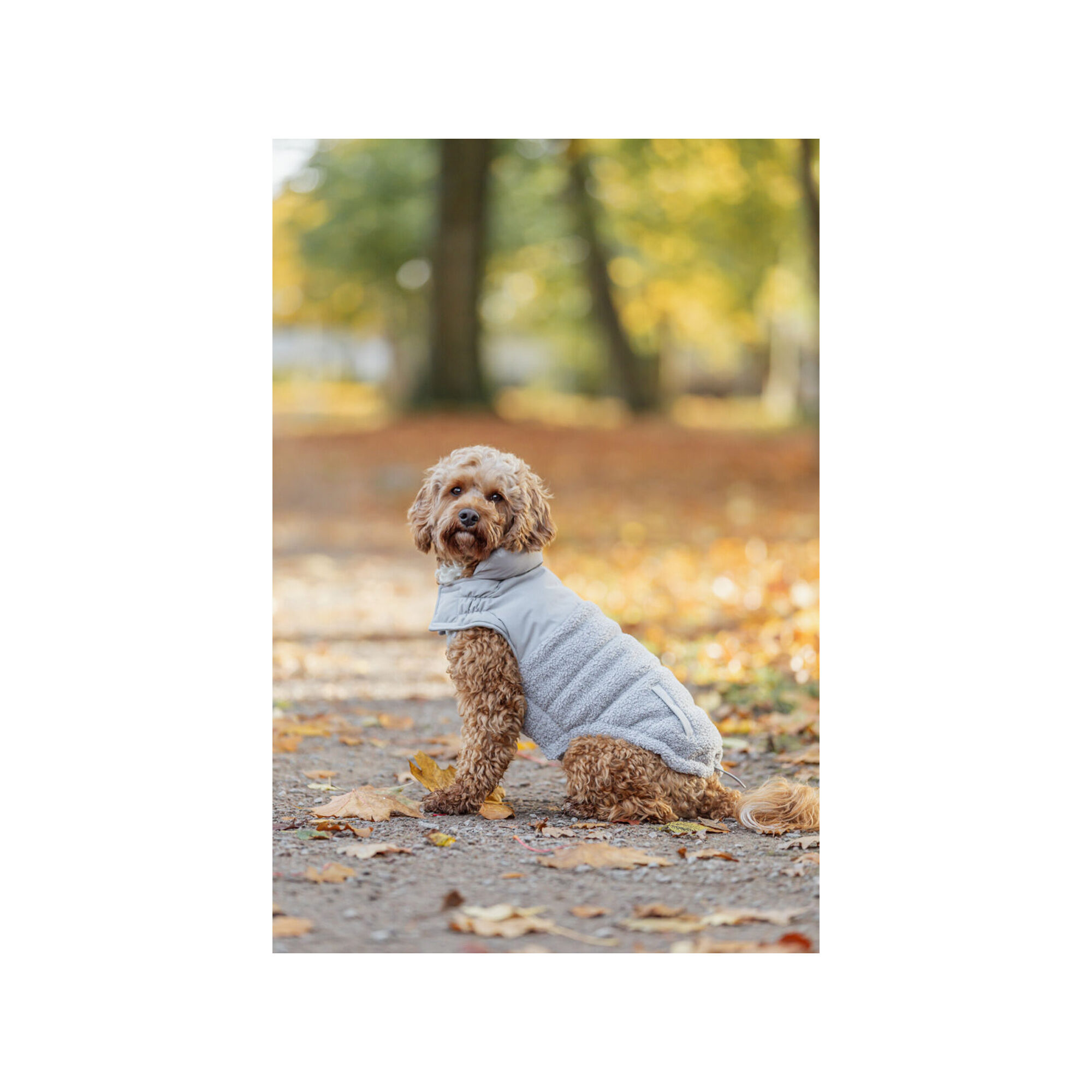 Trixie Winterjacke Ajou