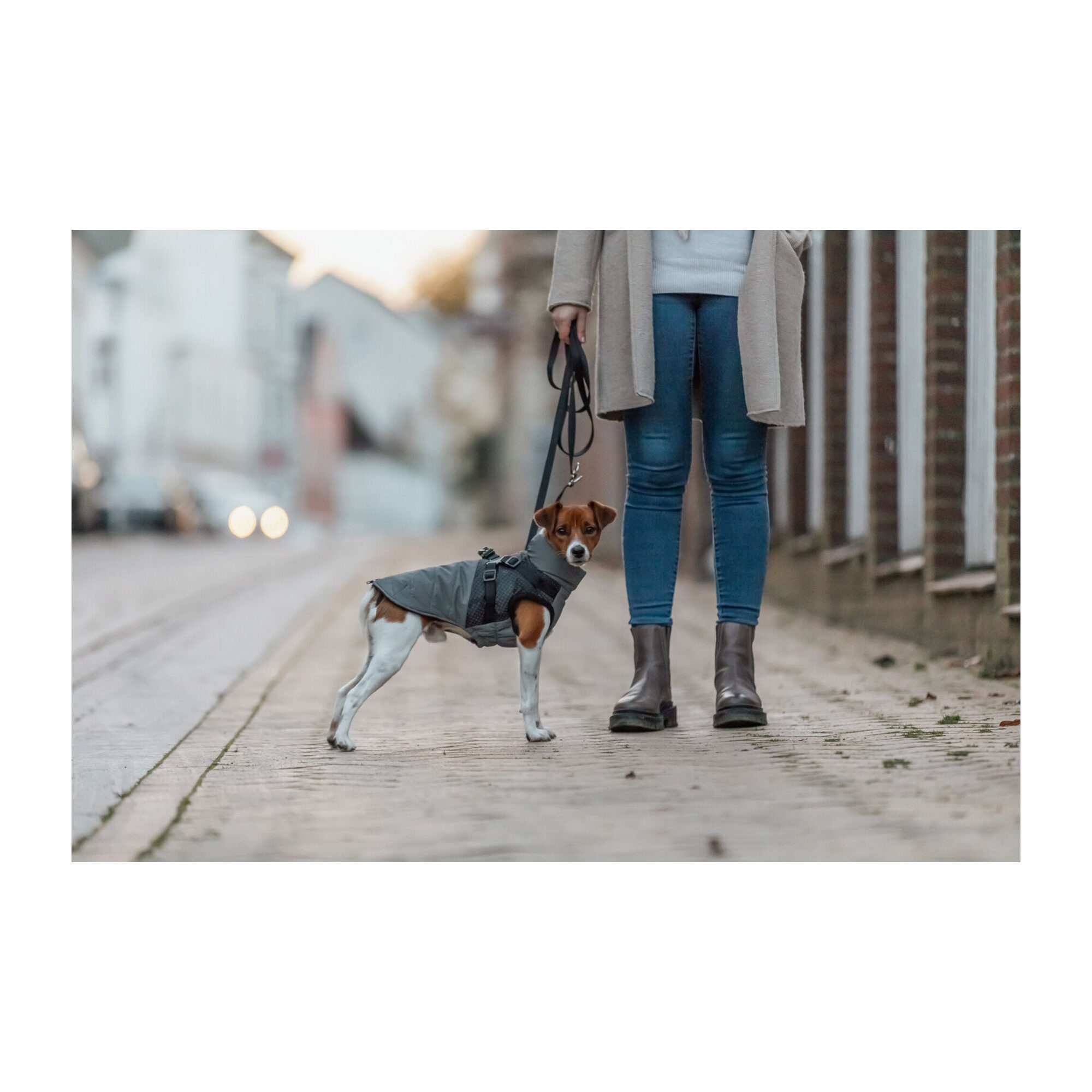Trixie Winterjacke mit Geschirr Pontis Reflect
