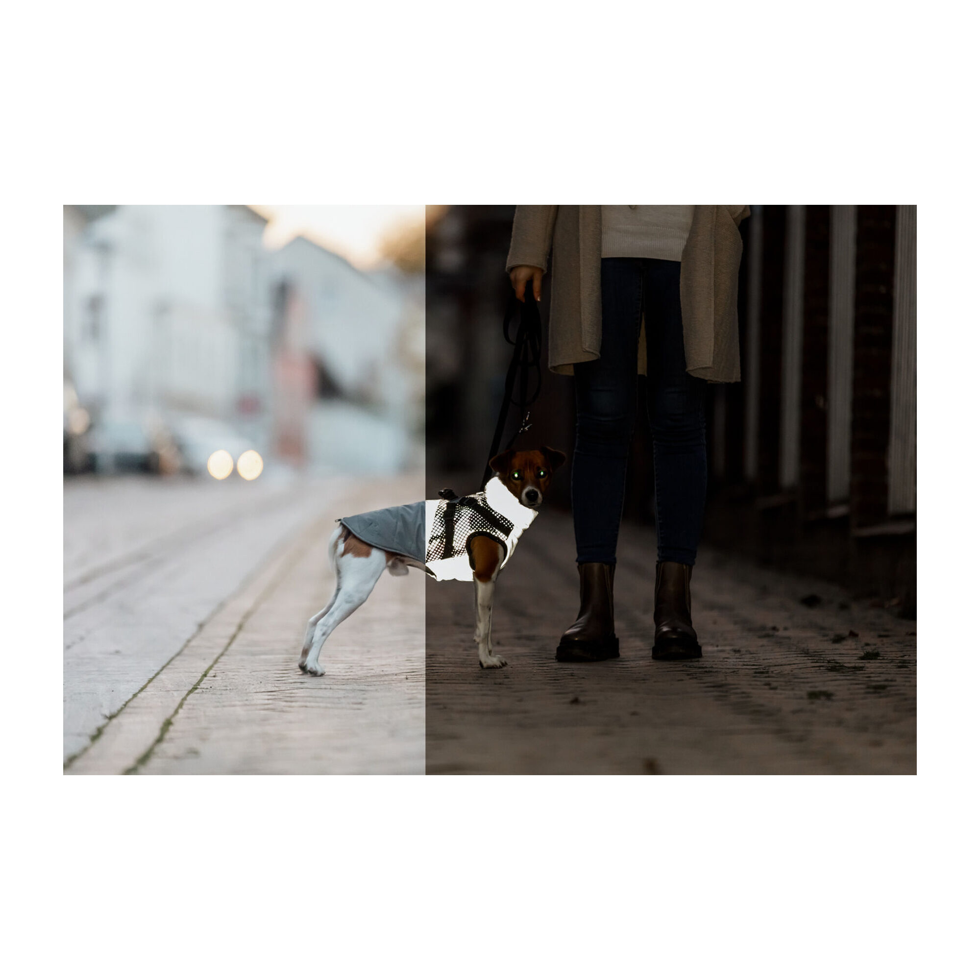 Trixie Winterjacke mit Geschirr Pontis Reflect