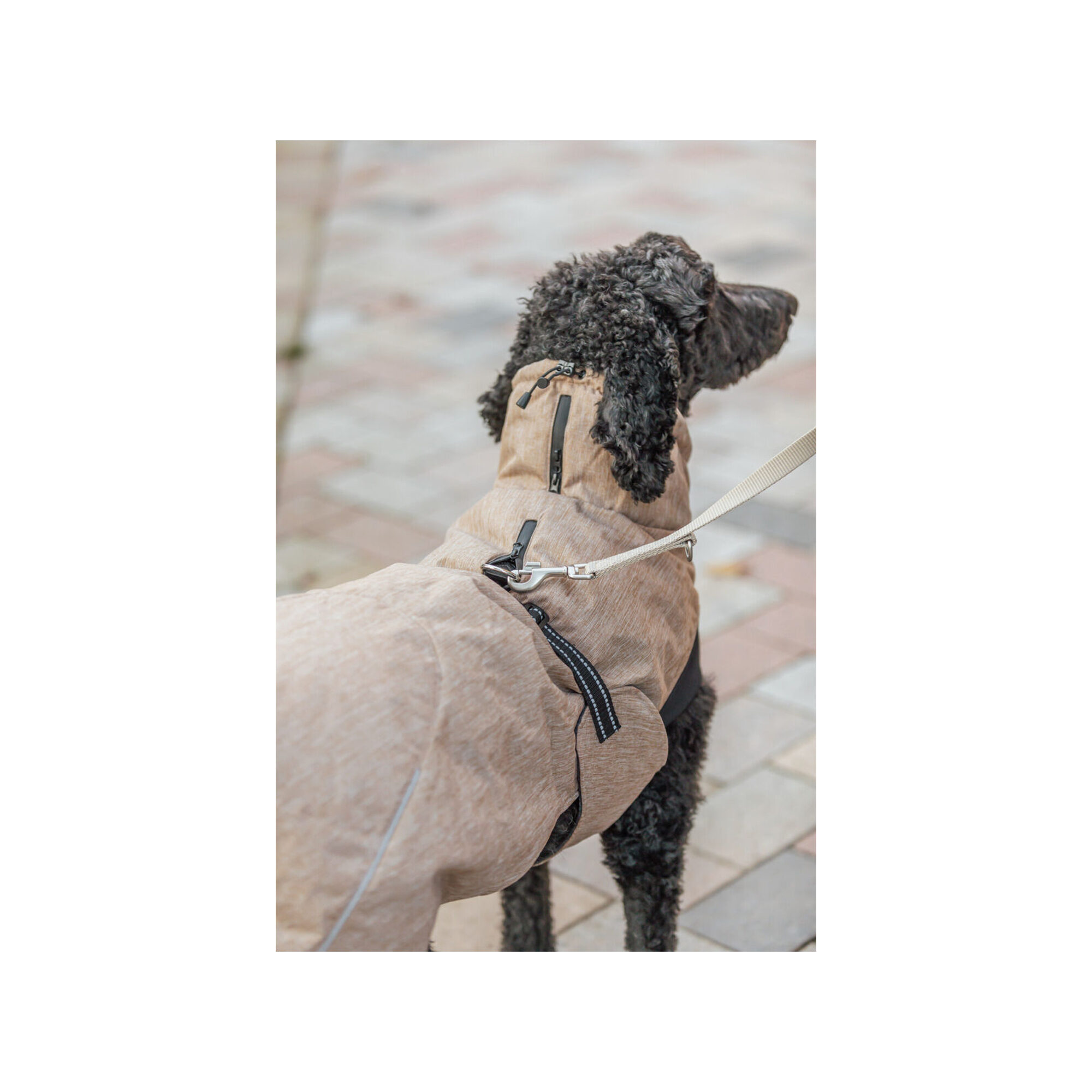 Trixie Winterjacke Riom