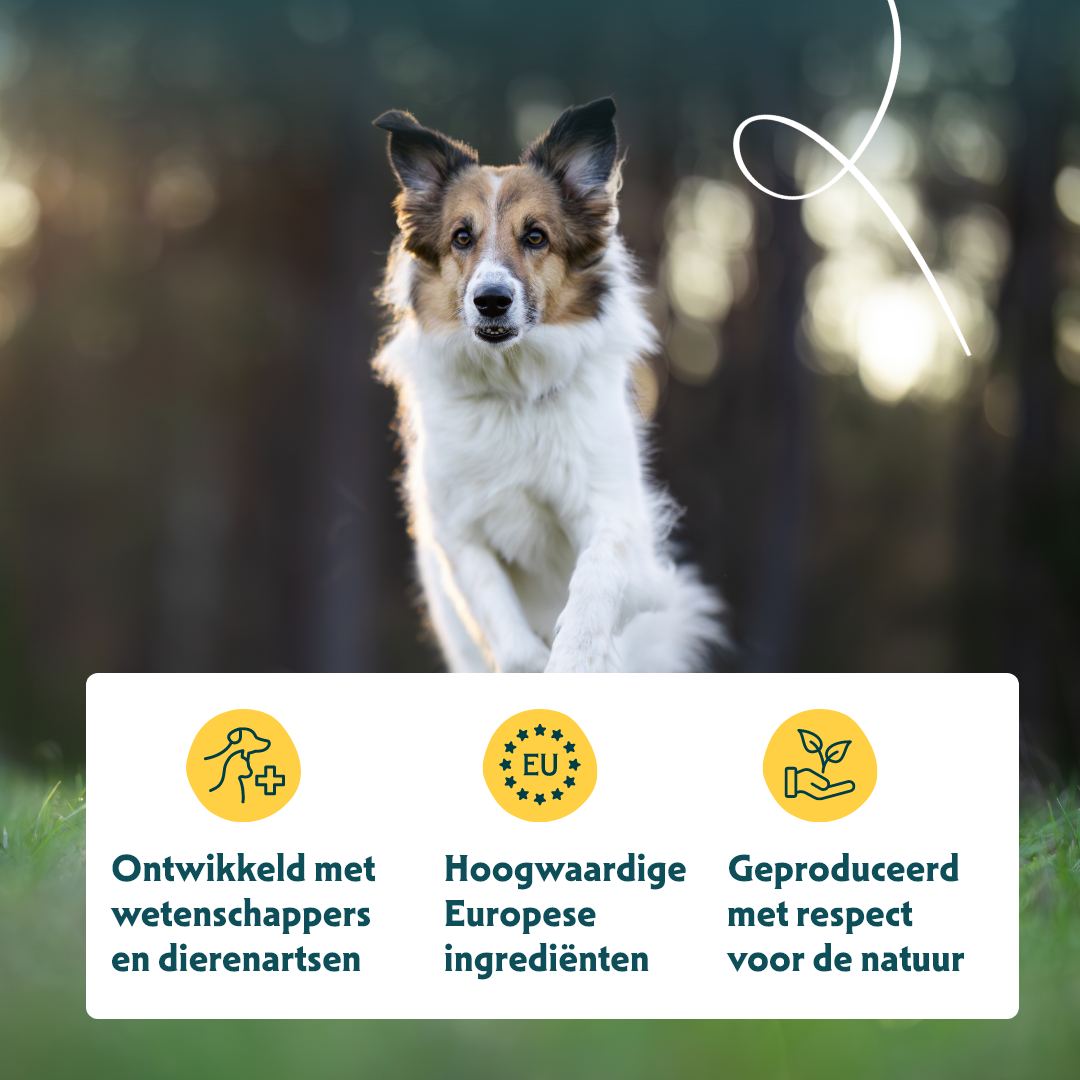 Yarrah - Droogvoer Hond Sensitive Bio