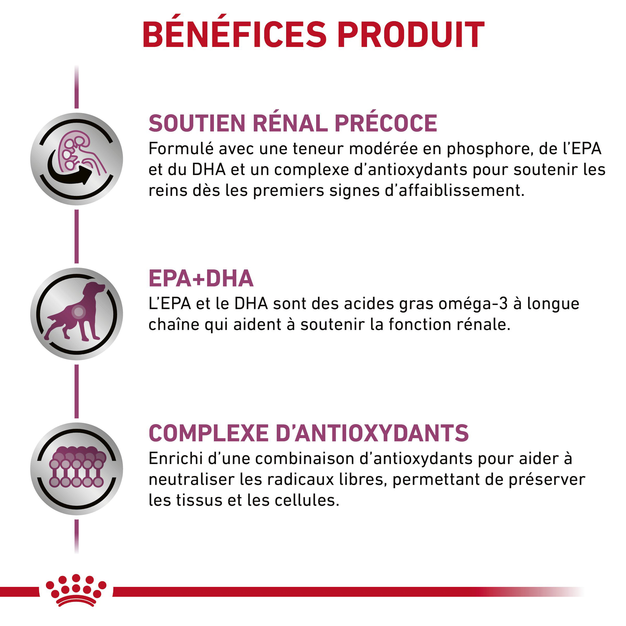 Royal Canin Early Renal - Chien