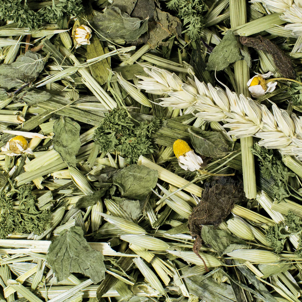 JR Farm Ruwe Knaagdiersnack - Kruidentuin
