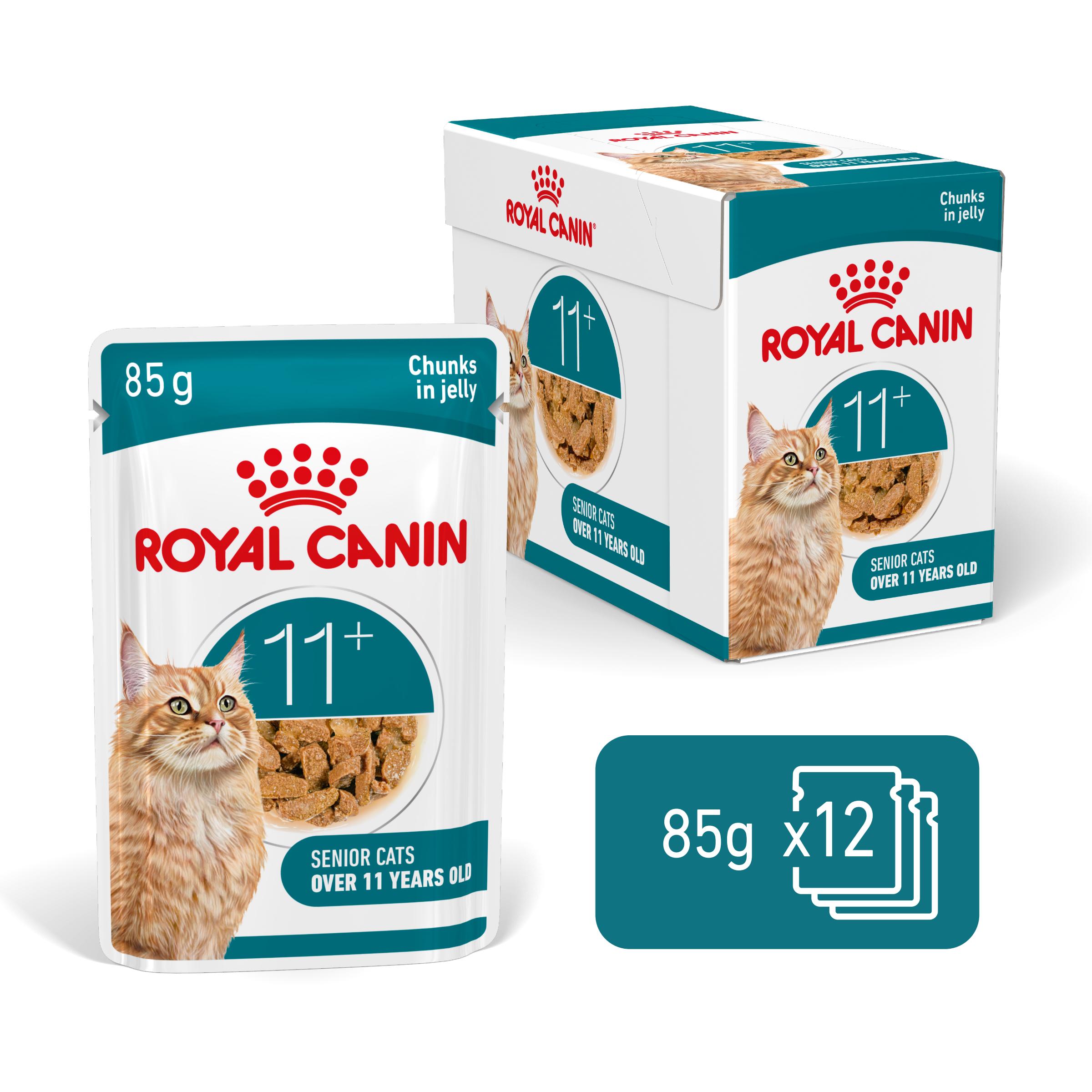Royal Canin Ageing 11+ in Jelly - Kattenvoer